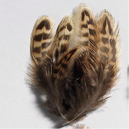 Fazantveren klein 4-8 cm - beige±40 stuks