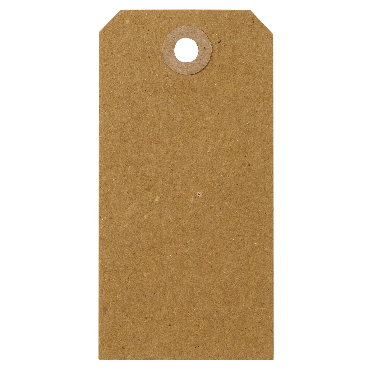 Manilla tags kraft - 20 stuks - 5x10 cm