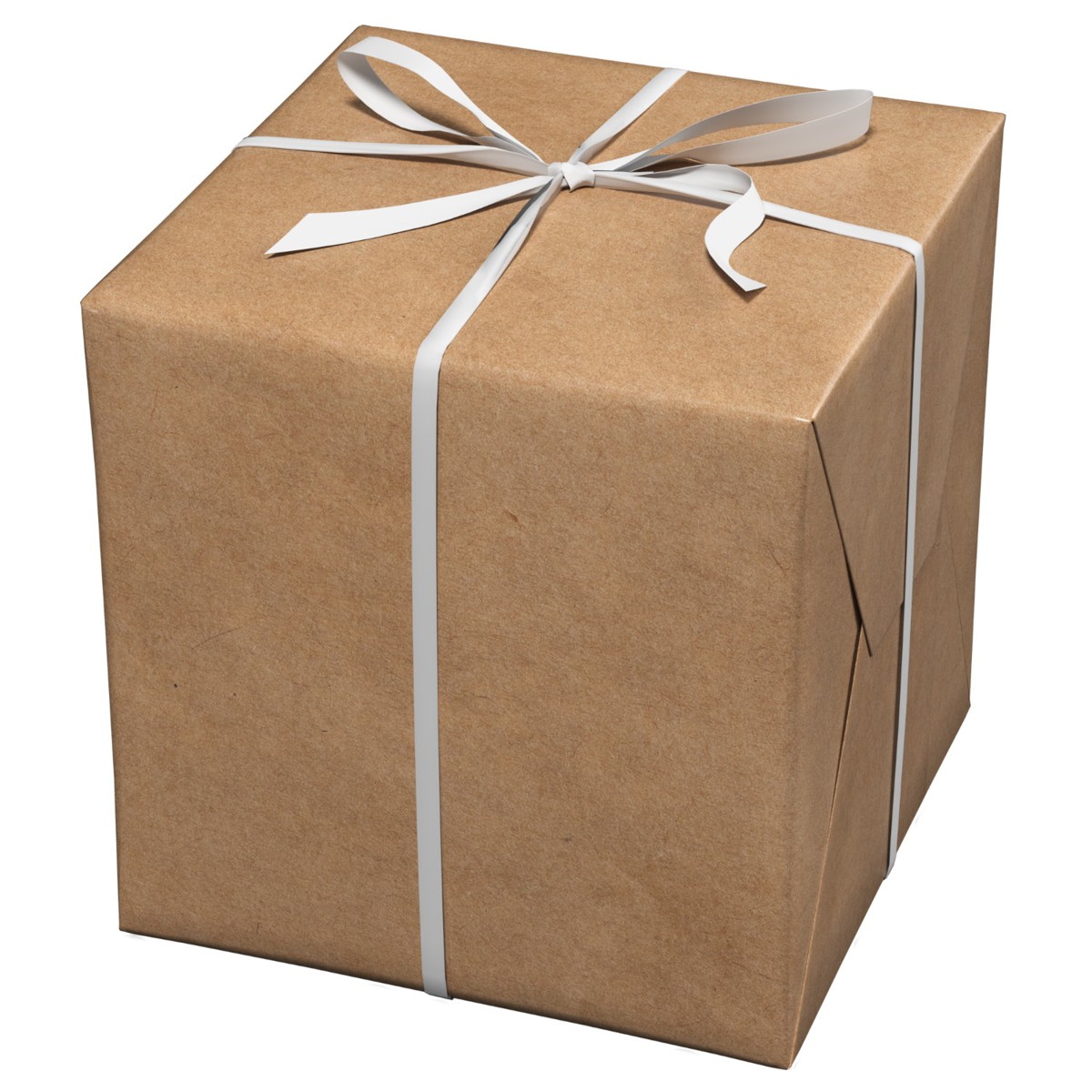 Cadeaupapier - 10 meter - kraft