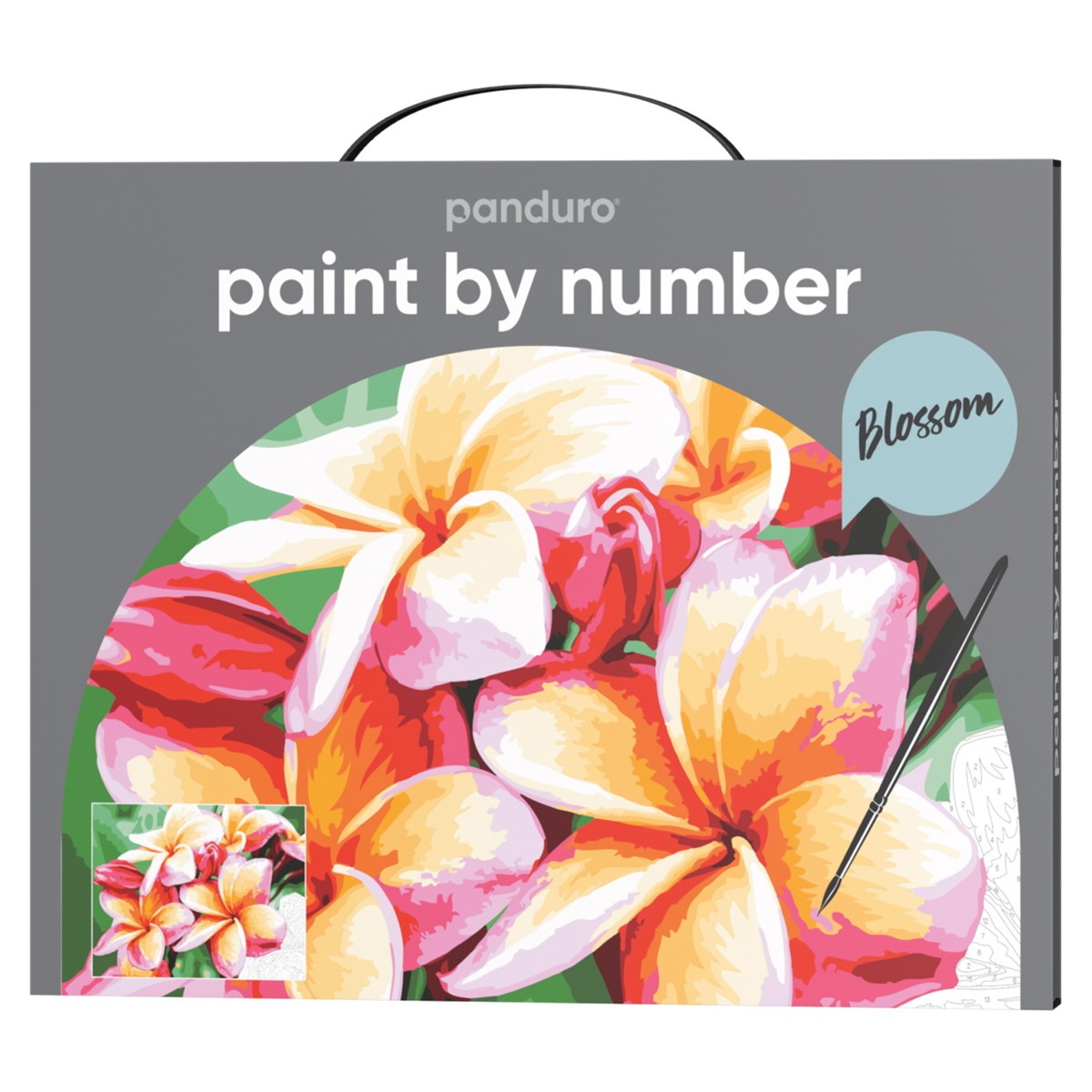 Schilderen op nummer - Blossom