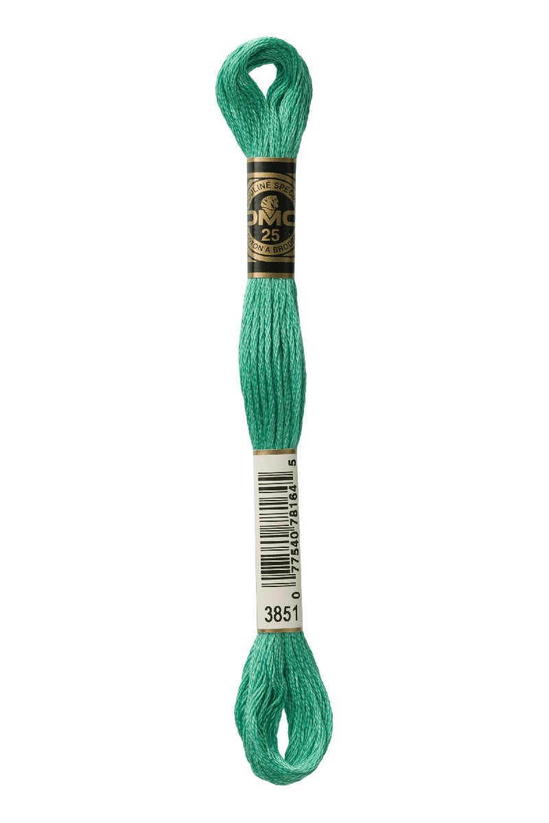 DMC Mouliné Spécial - 3851