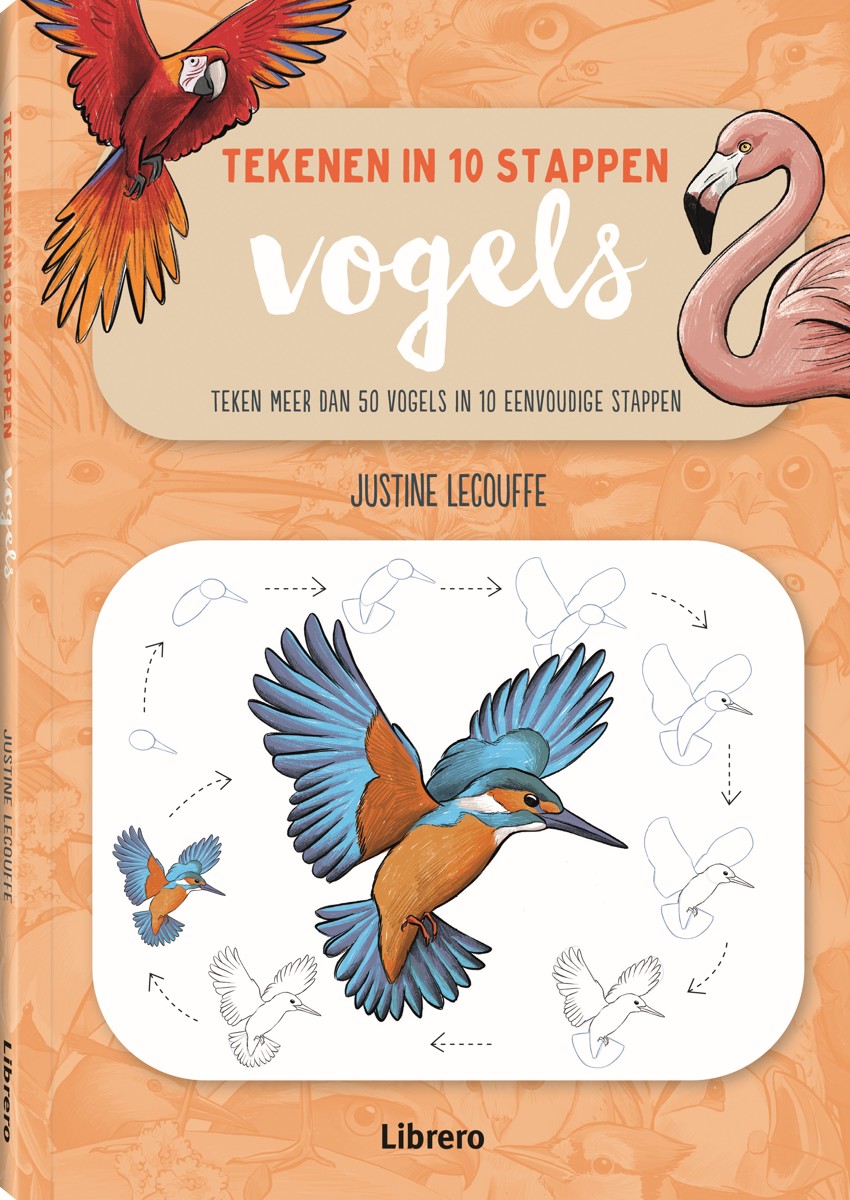 Boek - Tekenen in 10 Stappen - Vogels