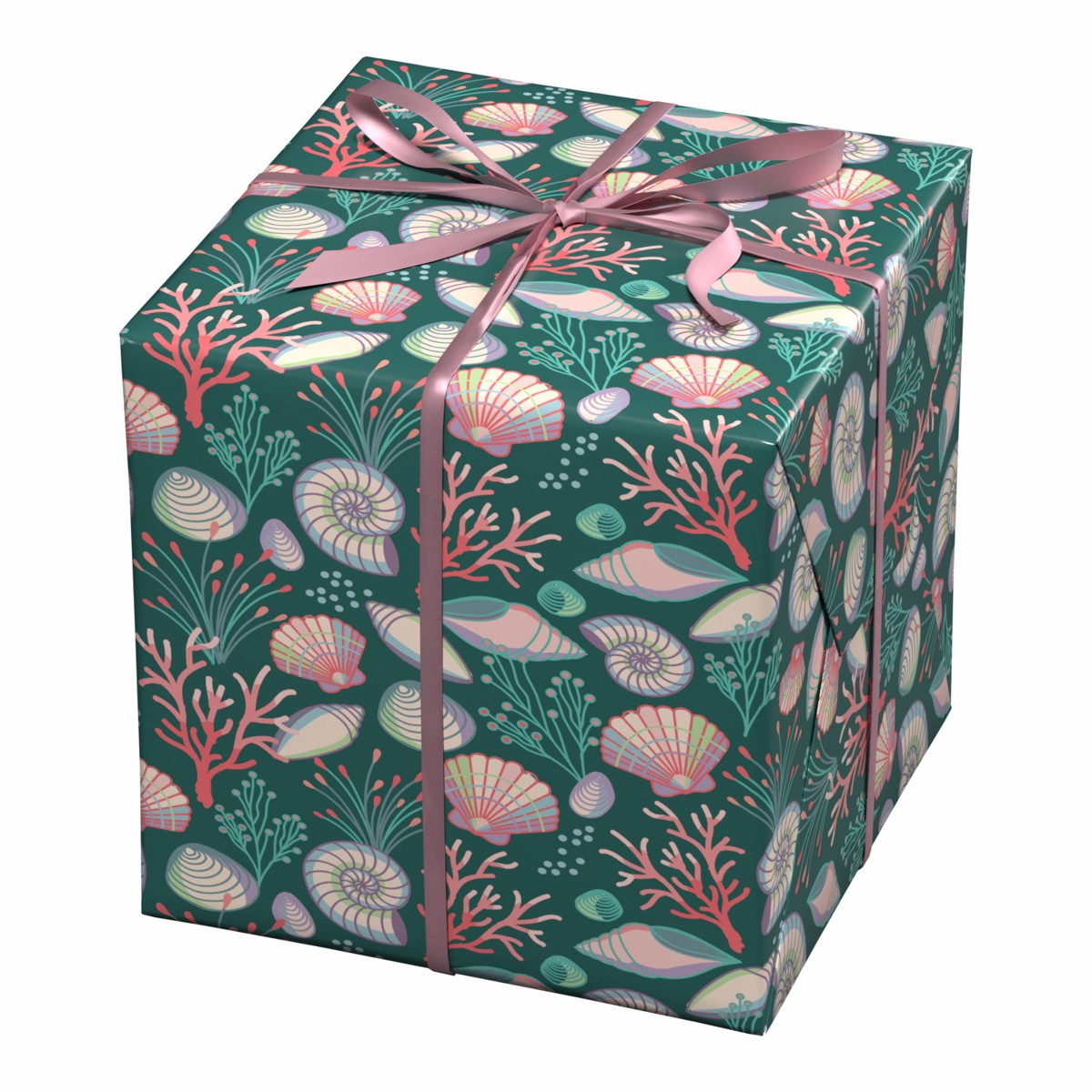 Cadeaupapier - 10 meter - zeeschelpen