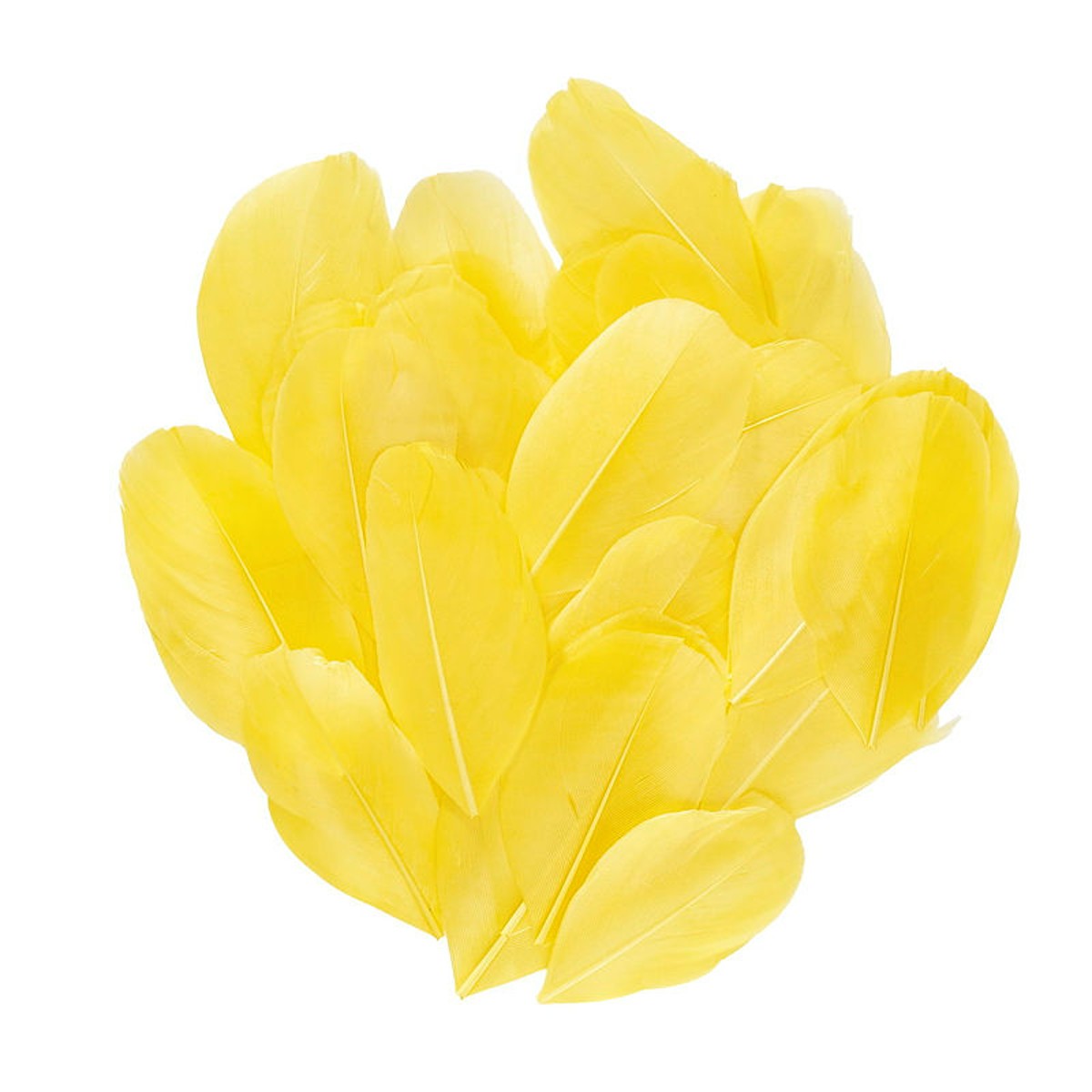 Ganzenveren geel - 6-7 cm - 3 gram