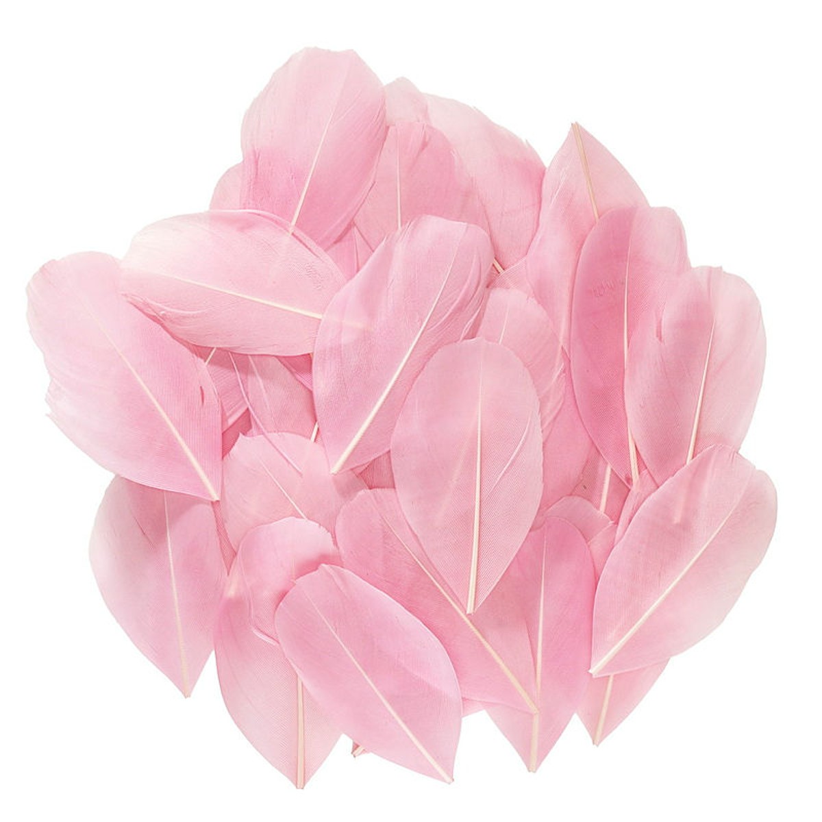 Ganzenveren roze - 6-7 cm - 3 gram