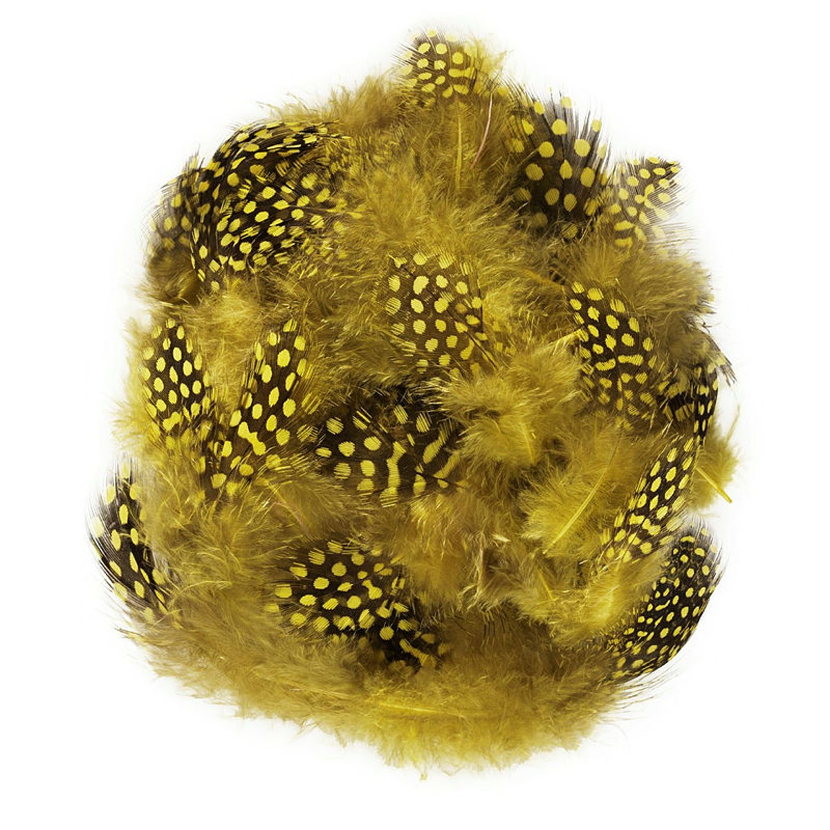 Parelhoenveren geel - 3-10 cm - 40 stuks