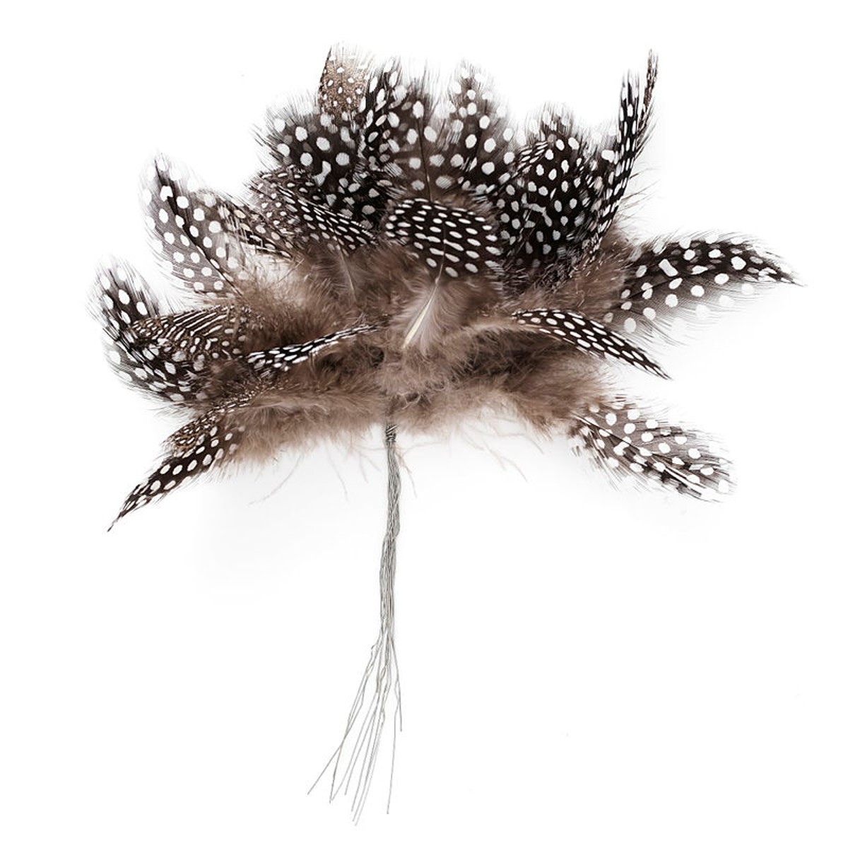 Parelhoenveren op staaldraad - 12 stuks