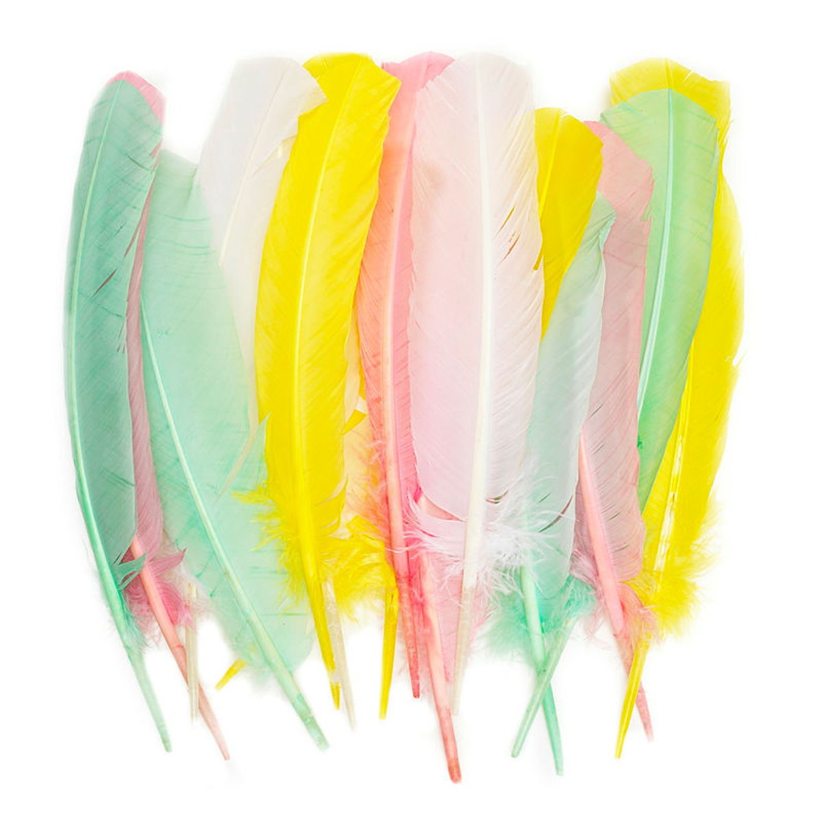 Kalkoenveren pastel - 30 cm - 16 stuks