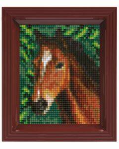 Pixelhobby set - paard