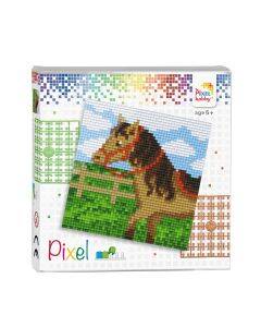 Pixelhobby set - paard
