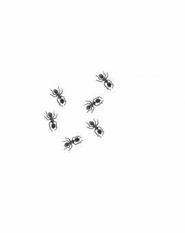 Mieren 10 stuks