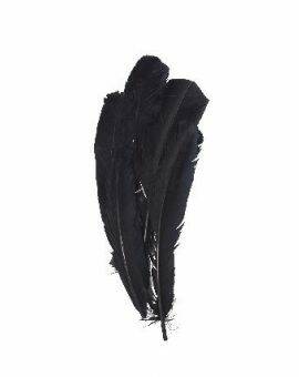 decoratieve veren 30 cm - zwart 15 stuks