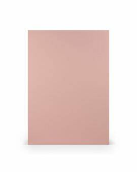 Karton - A4 - 5 stuks - roze