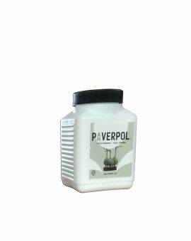 Paverpol transparant - knijpfles - 500 gram