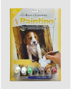 Schilderen op nummer - beagle puppy