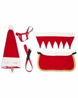 Hobby Horse - outfit - Kerst