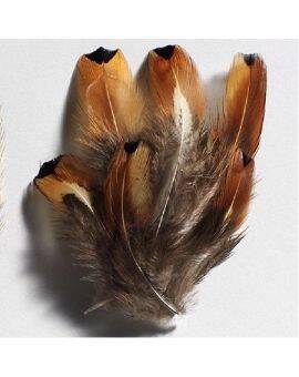 Fazantveren klein 4-8 cm - bruin ±40 stuks