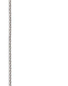 Ketting - 4 mm - 1 meter - zilverkleurig