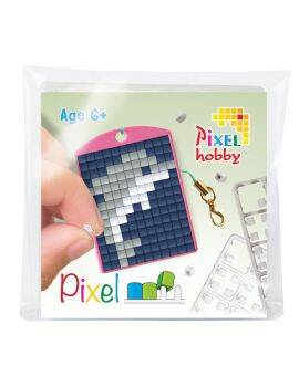 Pixelhobby medaillon startset - dolfijn