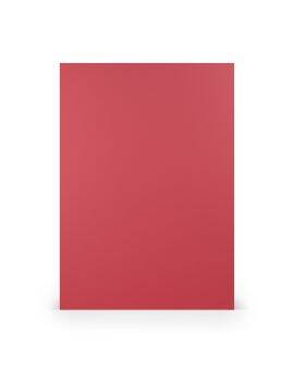 Karton - A4 - 5 stuks - rood