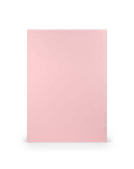 Karton - A4 - 5 stuks - lichtroze