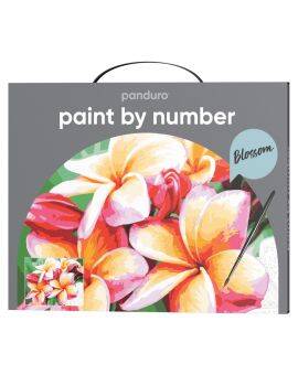 Schilderen op nummer - Blossom
