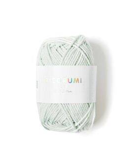 Ricorumi katoengaren - 25 gram - 37 ijsgroen