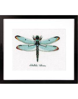 Telpakket Libel aida