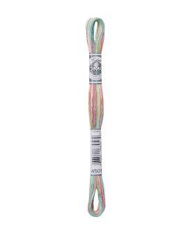 DMC Mouliné Coloris - 4501