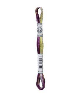 DMC Mouliné Coloris - 4503