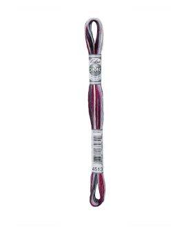 DMC Mouliné Coloris - 4513