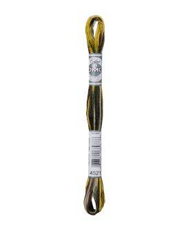 DMC Mouliné Coloris - 4521