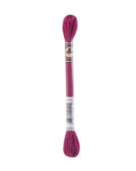 DMC Mouliné Color Variations - 4210