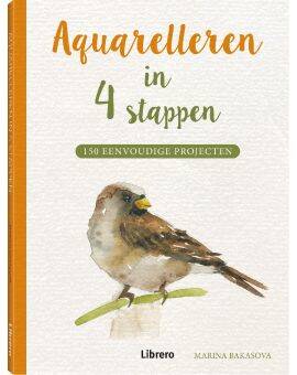Boek - Aquarelleren in 4 stappen