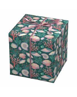 Cadeaupapier - 10 meter - zeeschelpen