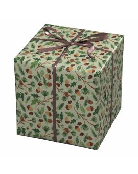 Cadeaupapier - 10 meter - eikeltjes