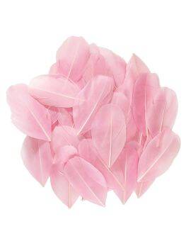 Ganzenveren roze - 6-7 cm - 3 gram