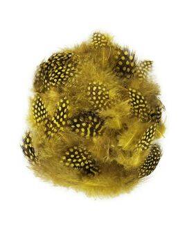 Parelhoenveren geel - 3-10 cm - 40 stuks