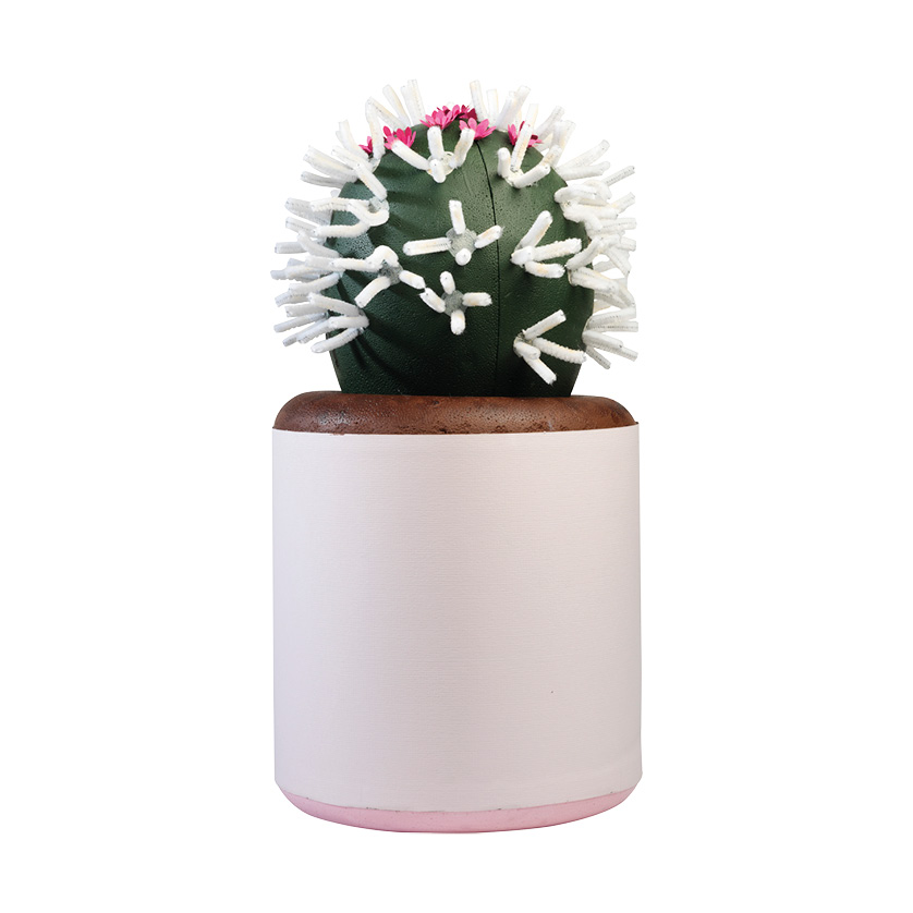 een cactus in wit potje