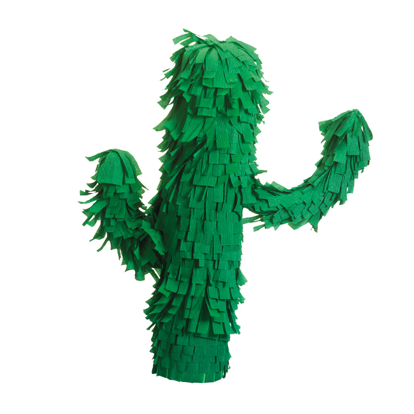 een grote cactus