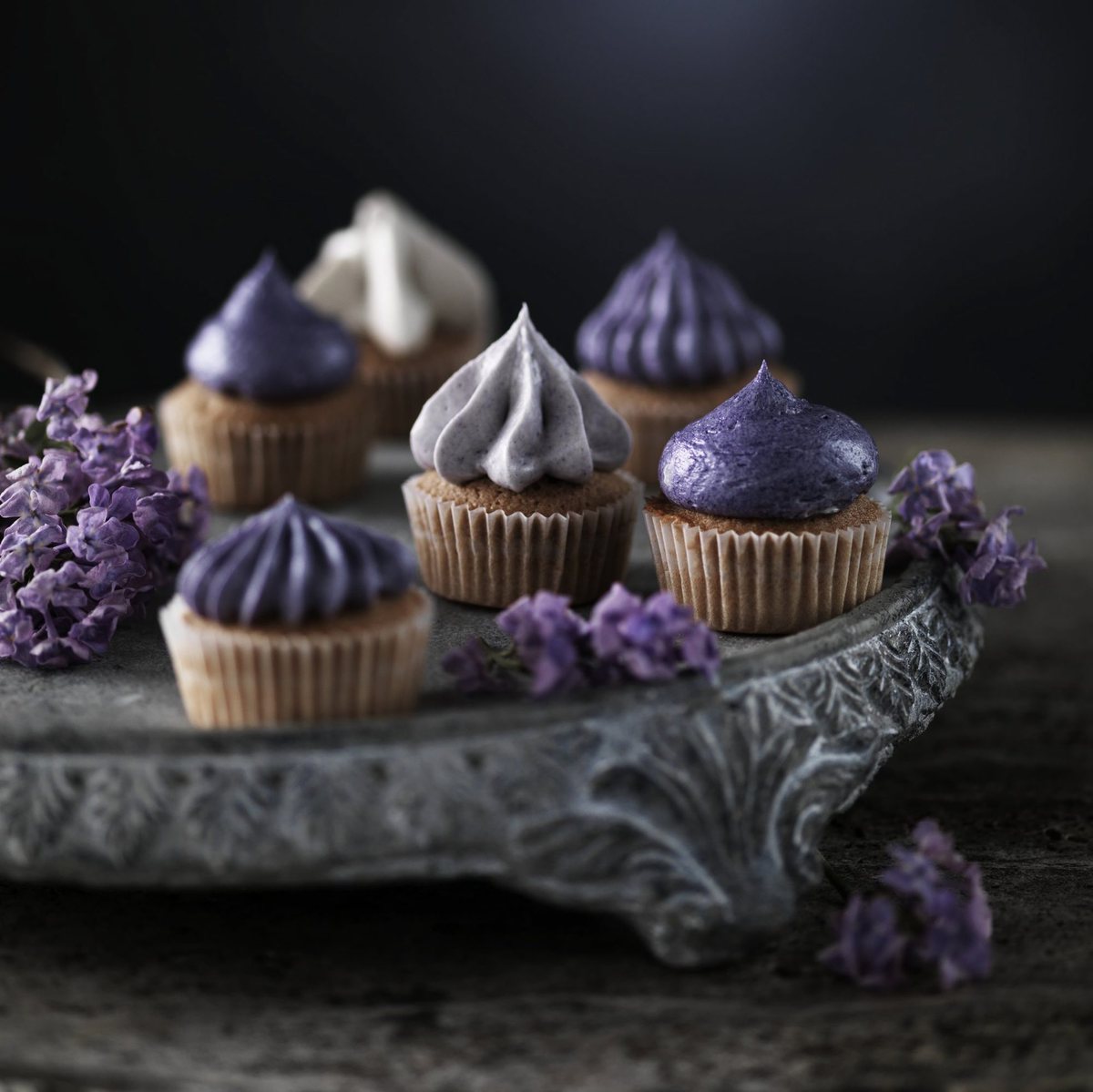 chique cupcakes chique cupcakes