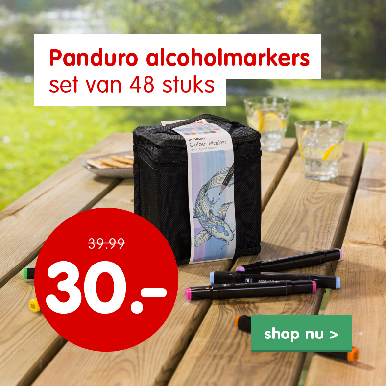 Aanbieding sinterklaas