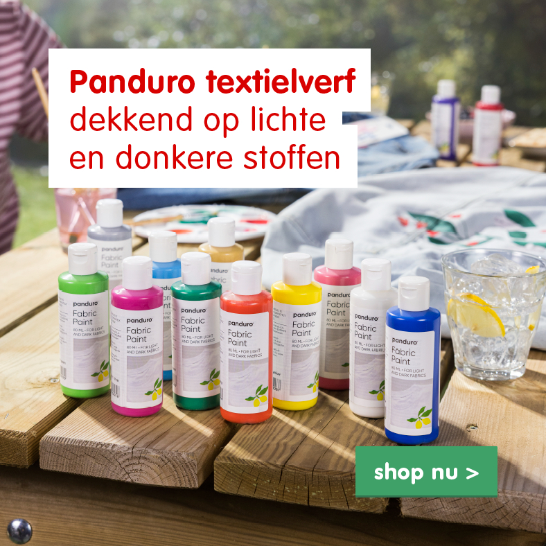 Aanbieding sinterklaas
