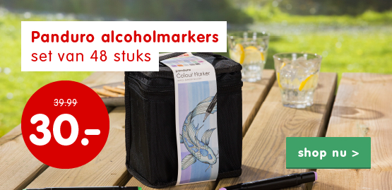 Aanbieding sinterklaas