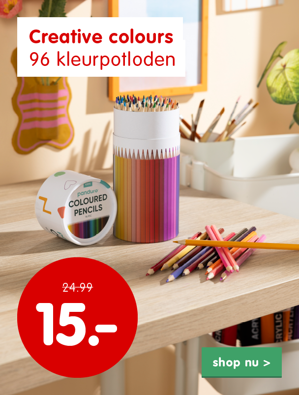 Aanbieding sinterklaas