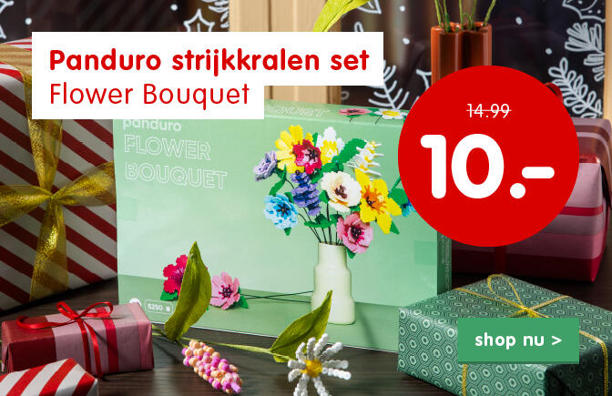 Aanbieding sinterklaas