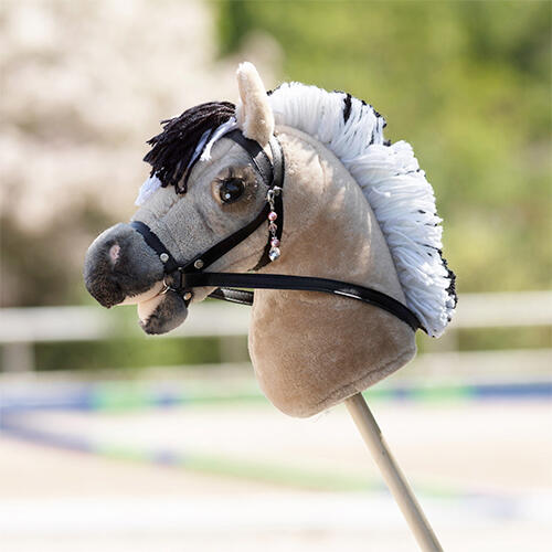 een Fjord als Hobby Horse