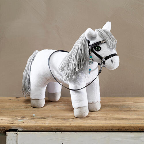 een Hobby Pony