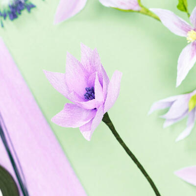 crêpepapier ridderspoor bloemen