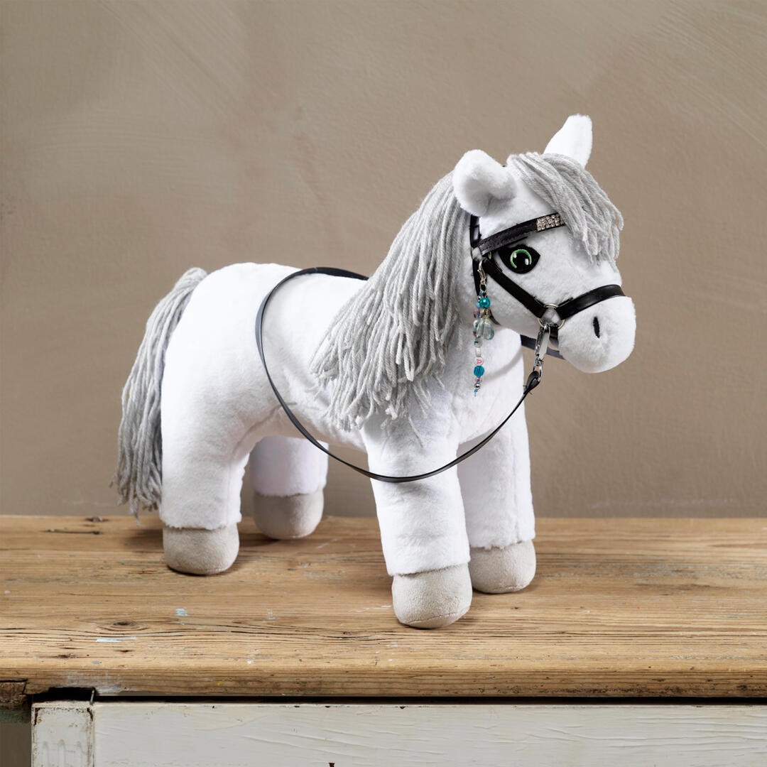 een Hobby Pony